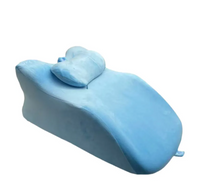 Thumbnail for Stomach Sleeper Pillow