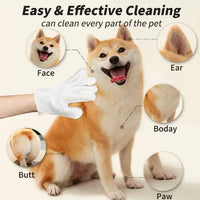 Thumbnail for Pet Cleaning Gloves & Wipes