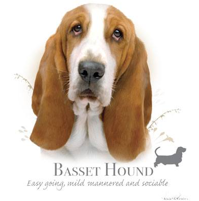 Basset Hound tshirt - TshirtNow.net - 1
