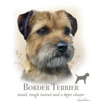 Border Terrier Tshirt - TshirtNow.net - 2