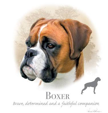 Boxer Tshirt - TshirtNow.net - 1