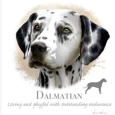 Dalmation Tshirt - TshirtNow.net - 2