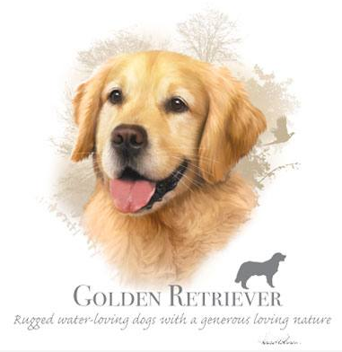 Golden Retriever Tshirt - TshirtNow.net - 2