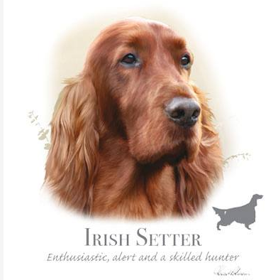 Irish Setter Tshirt - TshirtNow.net - 2