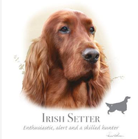 Thumbnail for Irish Setter Tshirt - TshirtNow.net - 2