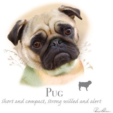 Pug Tshirt - TshirtNow.net - 2