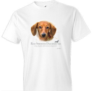 Red Smooth Dachshund Tshirt - TshirtNow.net - 1