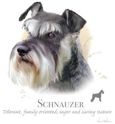 Schnauzer Tshirt - TshirtNow.net - 2