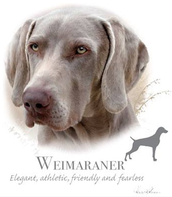 Weimaraner Tshirt - TshirtNow.net - 2