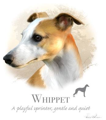 Whippet Tshirt - TshirtNow.net - 2