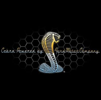 Cobra Tshirt - TshirtNow.net - 2