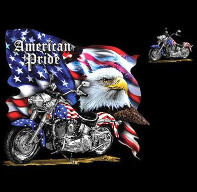 American Pride Biker Tshirt - TshirtNow.net - 2