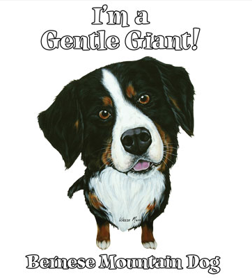 Funny Bernese Mountain Dog tshirt - TshirtNow.net - 2