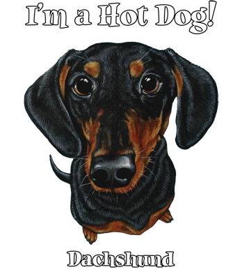 Funny Black and Tan Dachshund Tshirt - TshirtNow.net - 2