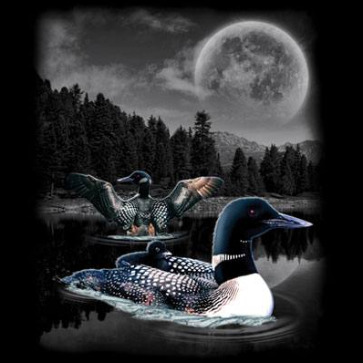 Loon Wilderness tshirt - TshirtNow.net - 2