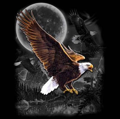 Eagle Wilderness tshirt - TshirtNow.net - 2