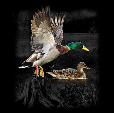 Duck Wilderness tshirt - TshirtNow.net - 2