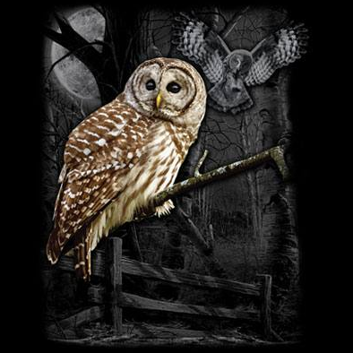 Owl Wilderness tshirt - TshirtNow.net - 2