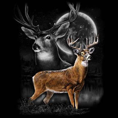 Dear Wilderness tshirt - TshirtNow.net - 2