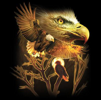 Thumbnail for American Eagle tshirt - TshirtNow.net - 2