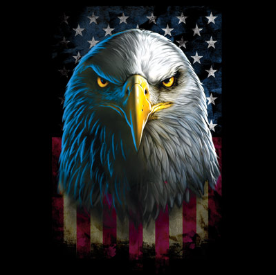 Eagle Stare Tshirt - TshirtNow.net - 2
