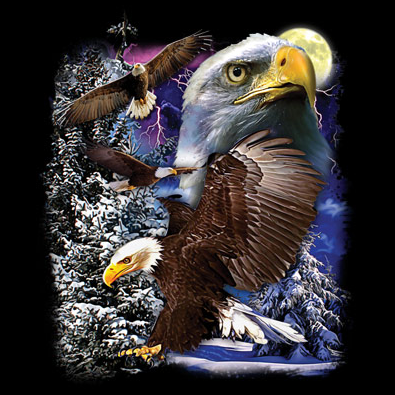 Eagle Watch Tshirt - TshirtNow.net - 2