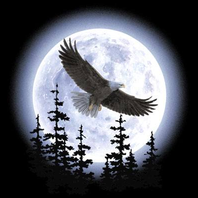 Eagle Moon Tshirt - TshirtNow.net - 2