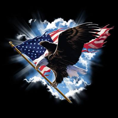 Patriotic Flying Eagle Tshirt - TshirtNow.net - 2