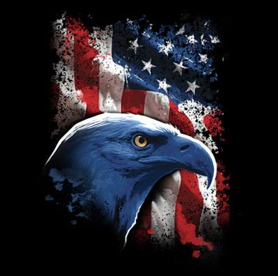 American Icon Tshirt - TshirtNow.net - 2