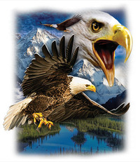 Thumbnail for Eagle Mountain tshirt - TshirtNow.net - 2