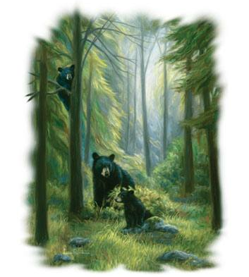 Spirits Of The Forest Wildlife tshirt - TshirtNow.net - 2