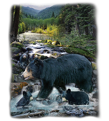 At The Creek Oversized Wildlife tshirt - TshirtNow.net - 2