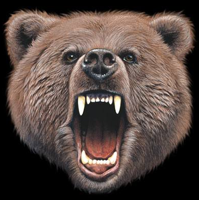 Bear Bite Wildlife tshirt - TshirtNow.net - 2