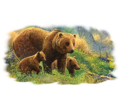 Young Explorers Wildlife tshirt - TshirtNow.net - 2