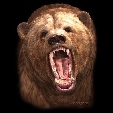 Grizzly Wildlife tshirt - TshirtNow.net - 2