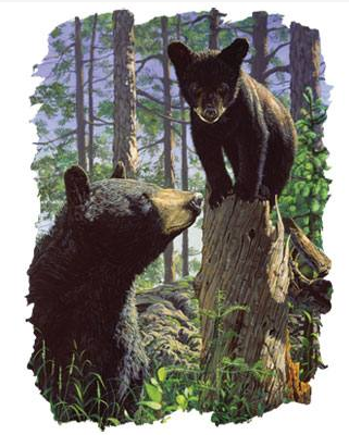 Stump Jumper Wildlife tshirt - TshirtNow.net - 2