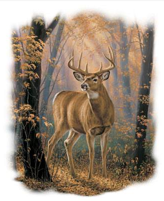 Woodland Mist Wildlife tshirt - TshirtNow.net - 2