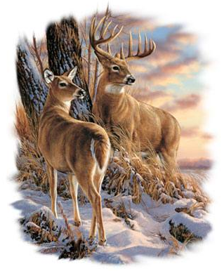 Twilight Escape Wildlife Tshirt - TshirtNow.net - 2