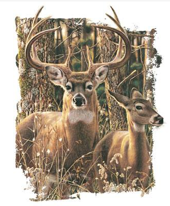 In His Domain Deer Tshirt - TshirtNow.net - 2