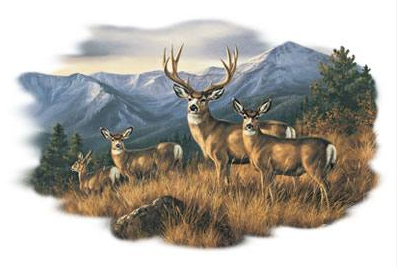 Close To The Ridge Wildlife Tshirt - TshirtNow.net - 2