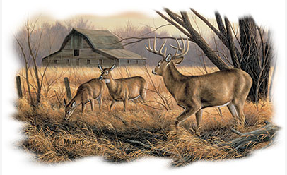 Abandoned Farmstead Wildlife Tshirt - TshirtNow.net - 2