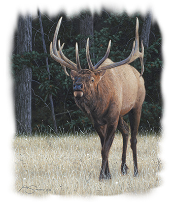 The Intimidator Wildlife Tshirt - TshirtNow.net - 2