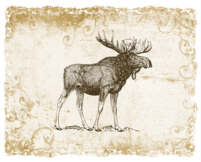 Brown Moose Wildlife Tshirt - TshirtNow.net - 2