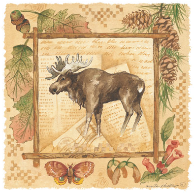 Moose Wildlife Tshirt - TshirtNow.net - 2