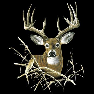 Buck 2 Wildlife Tshirt - TshirtNow.net - 2