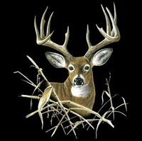 Thumbnail for Buck 2 Wildlife Tshirt - TshirtNow.net - 2