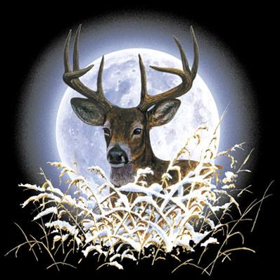 Deer Moon Wildlife Tshirt - TshirtNow.net - 2