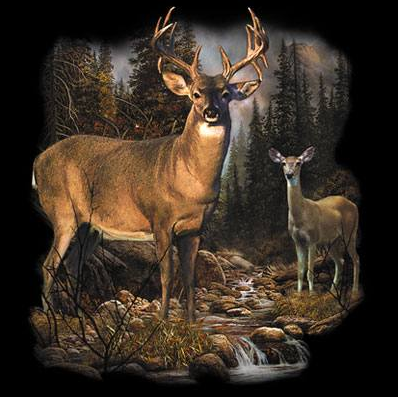 The Eldest Survivor Wildlife Tshirt - TshirtNow.net - 2
