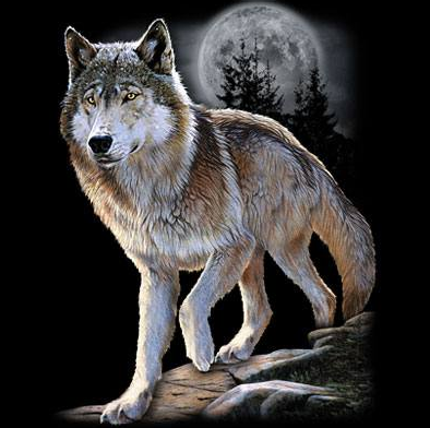 Wolf Alert Tshirt - TshirtNow.net - 2