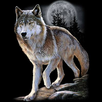 Thumbnail for Wolf Alert Tshirt - TshirtNow.net - 2